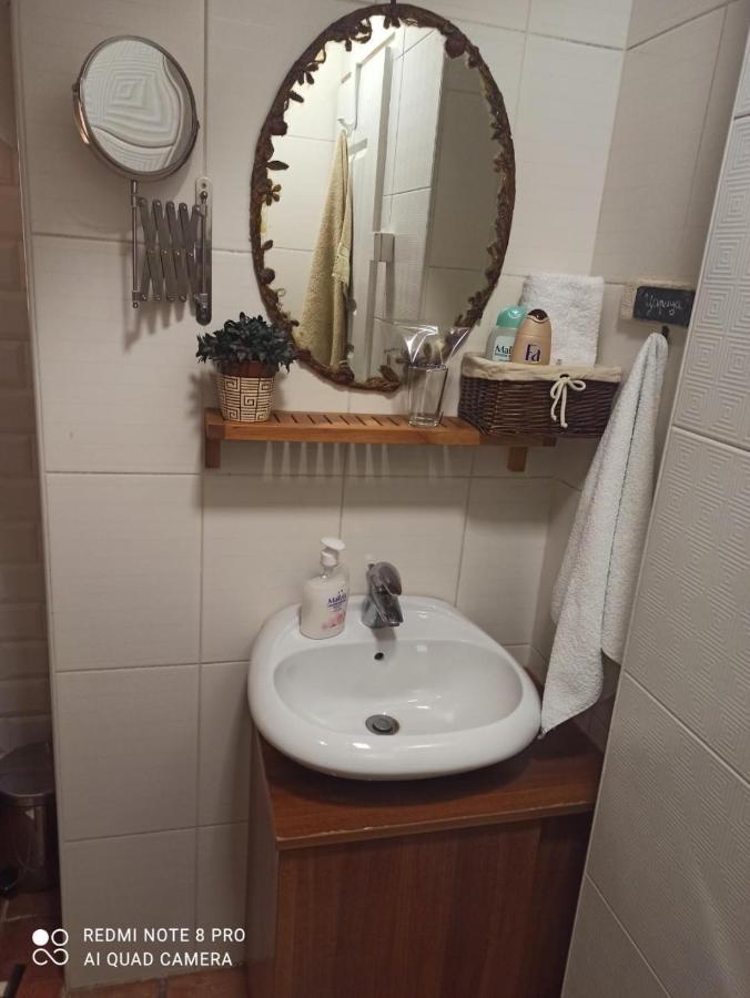 Apartments Carica 노비사드 외부 사진