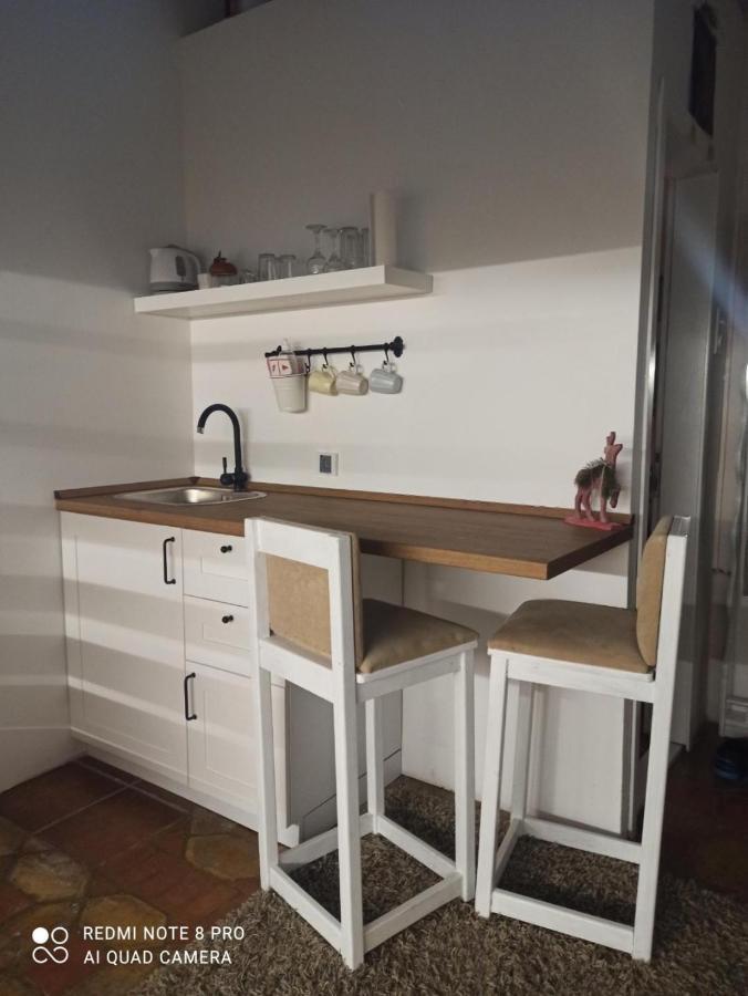 Apartments Carica 노비사드 외부 사진